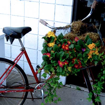 flowerbike.jpg