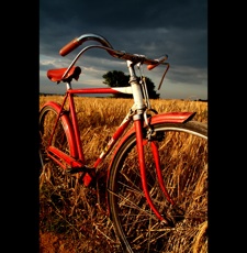 wheat_bike.jpg