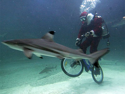 santa_bike_shark.jpg