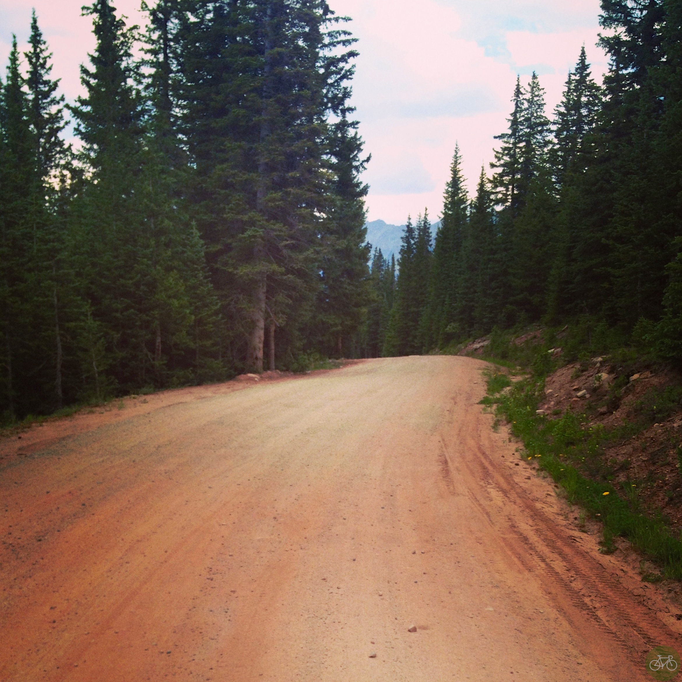 Mountain Bikes, Marmots, and Fire Roads