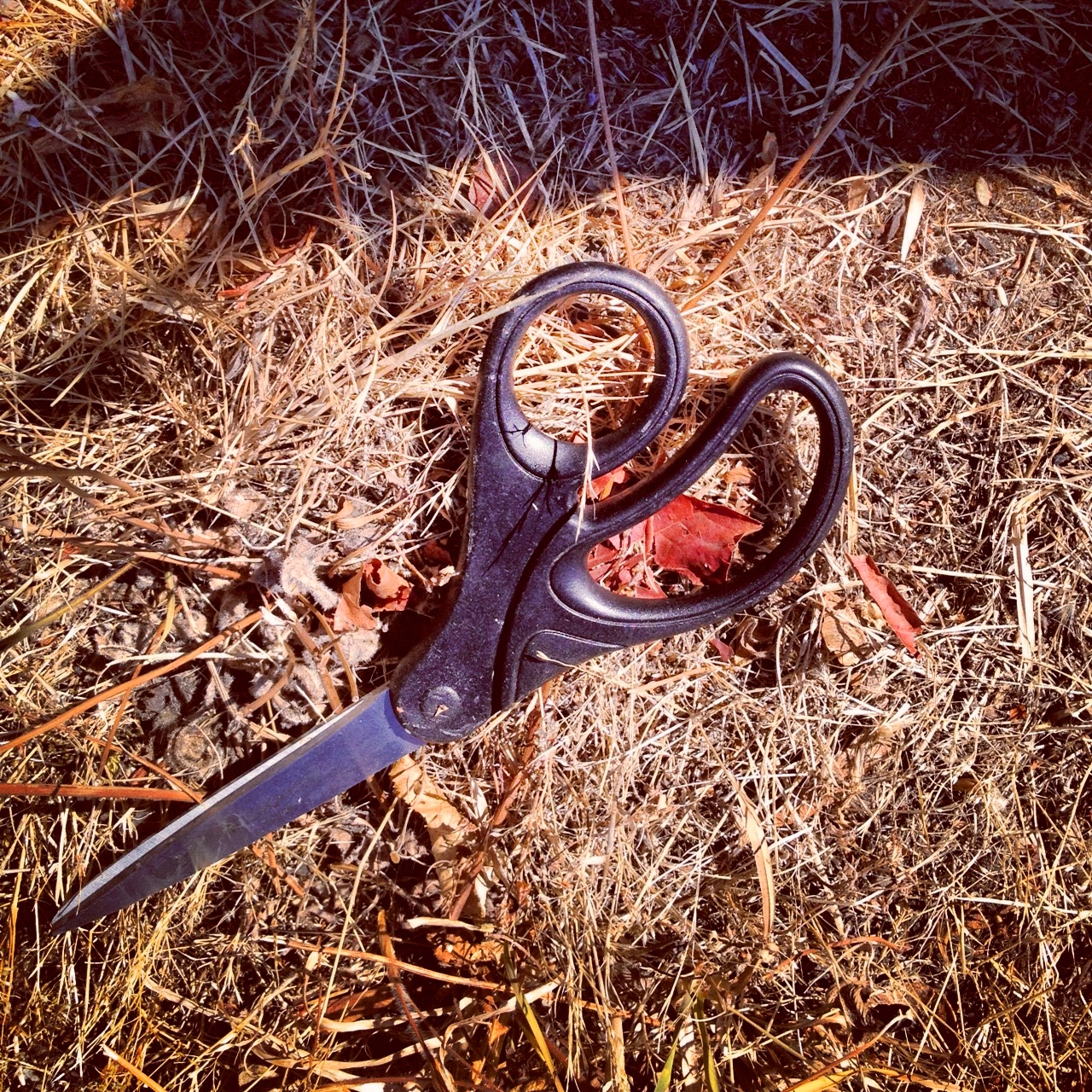 scissors found