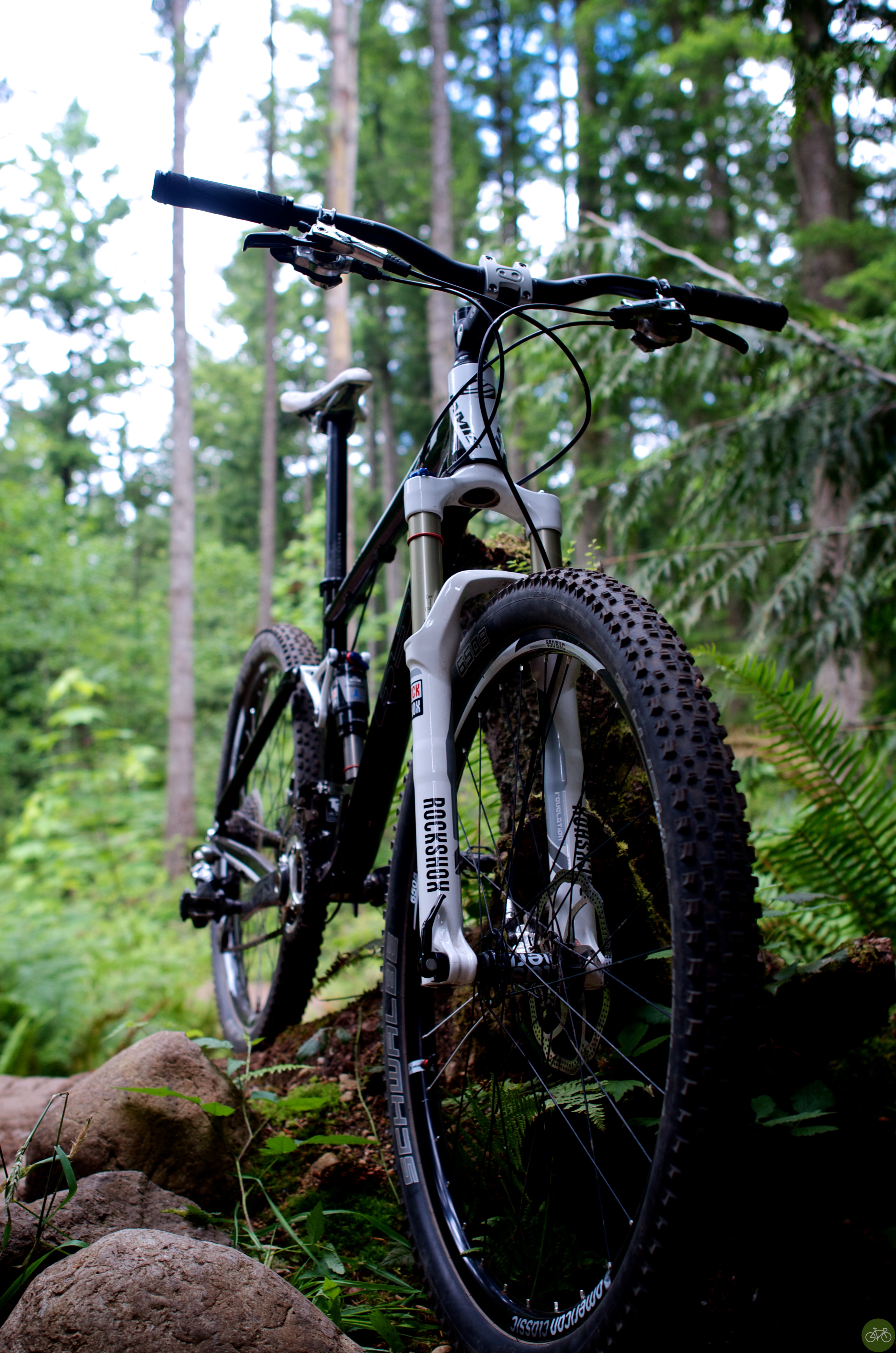 650b in the trees