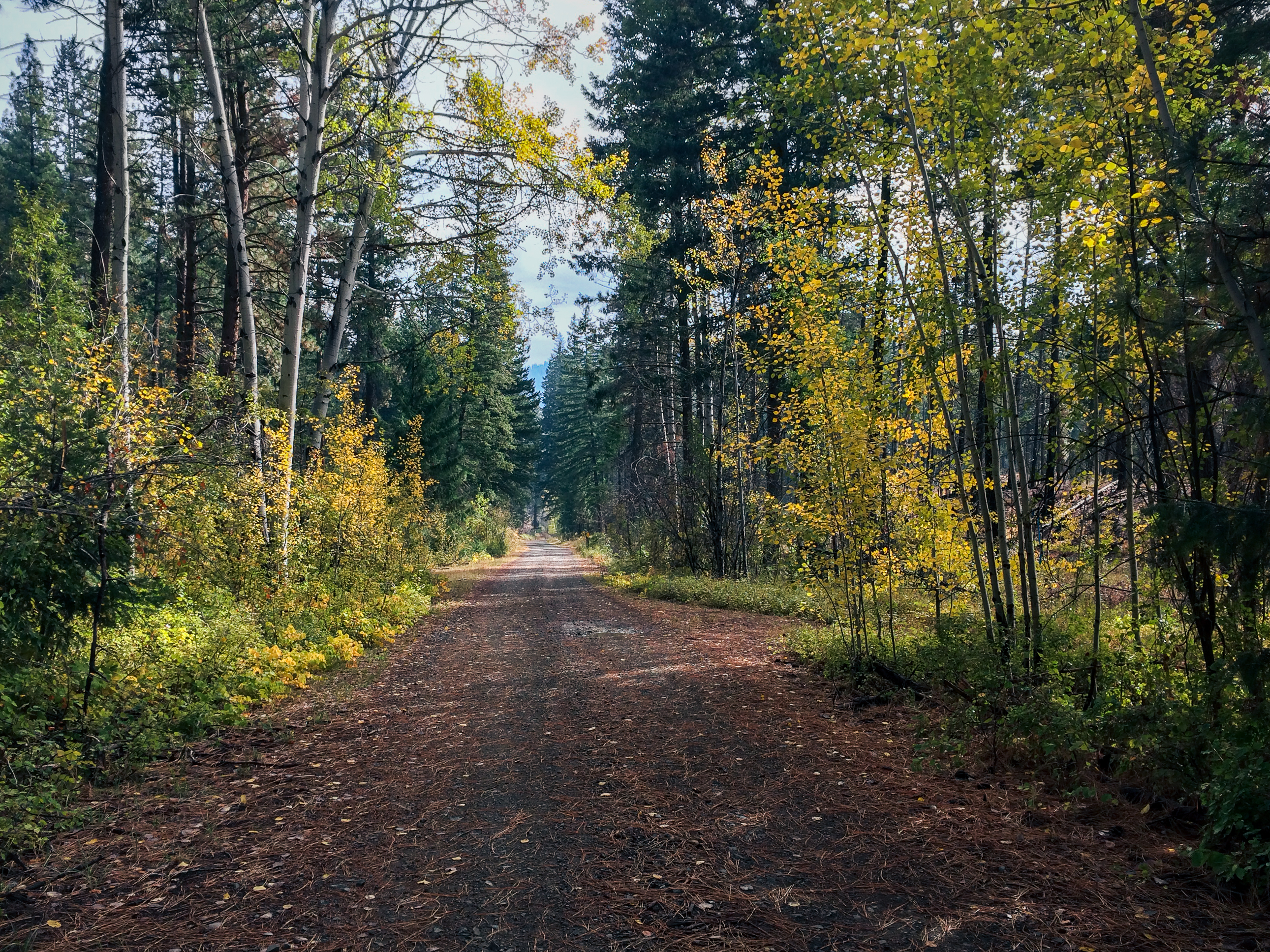 Methow is meadowy, and we rode Fat Bikes.