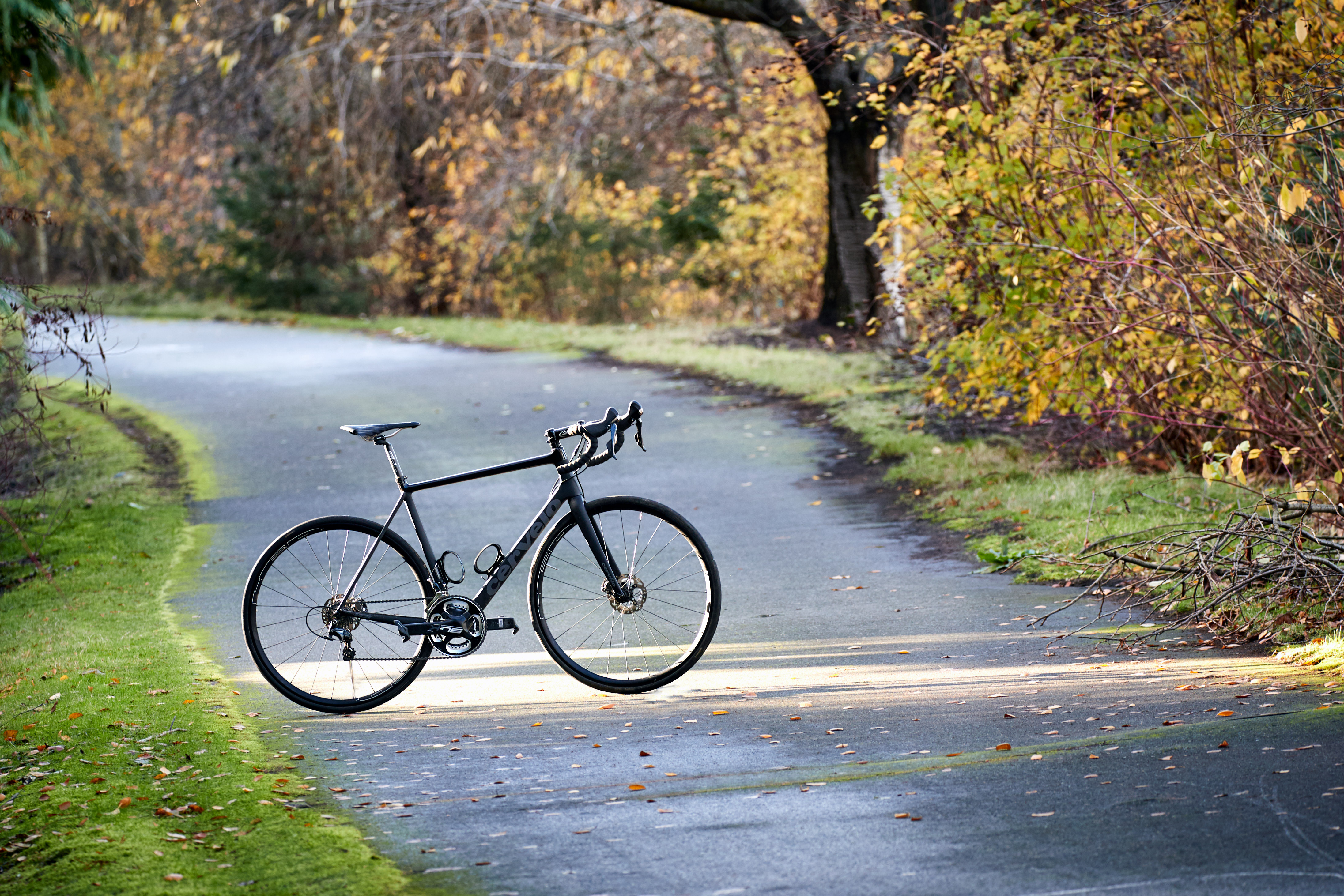 cervelo r3d