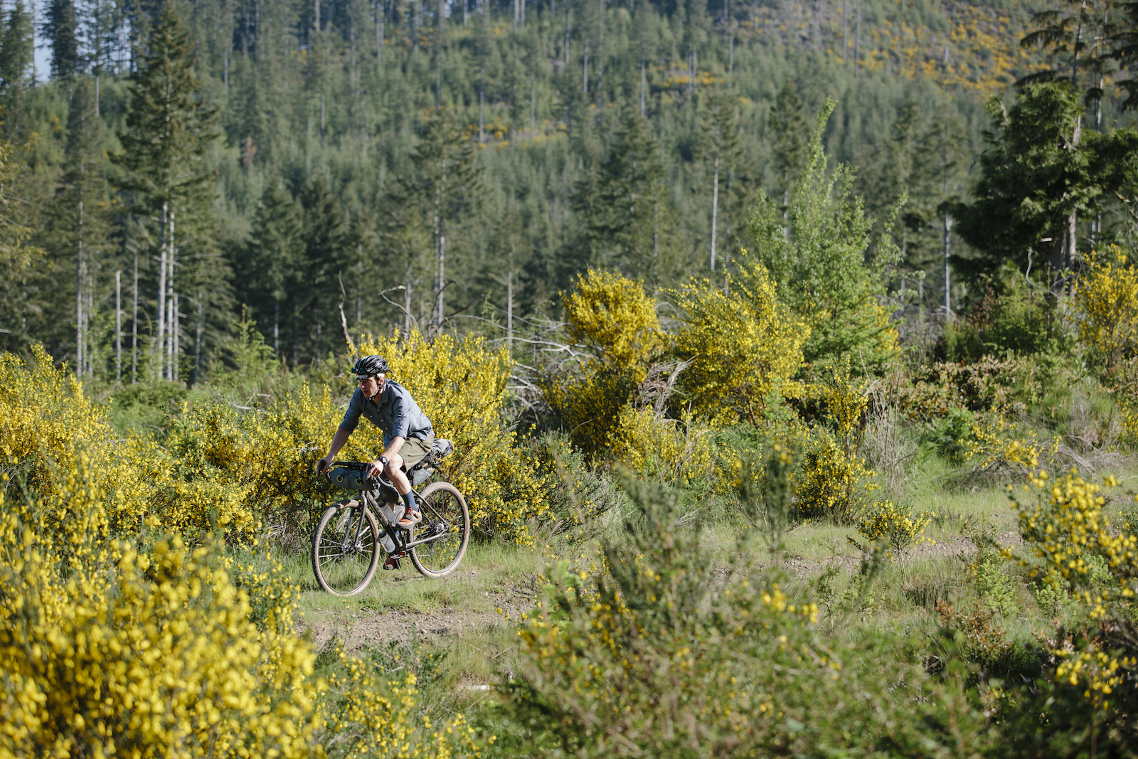 cannondale touring apex 1 se