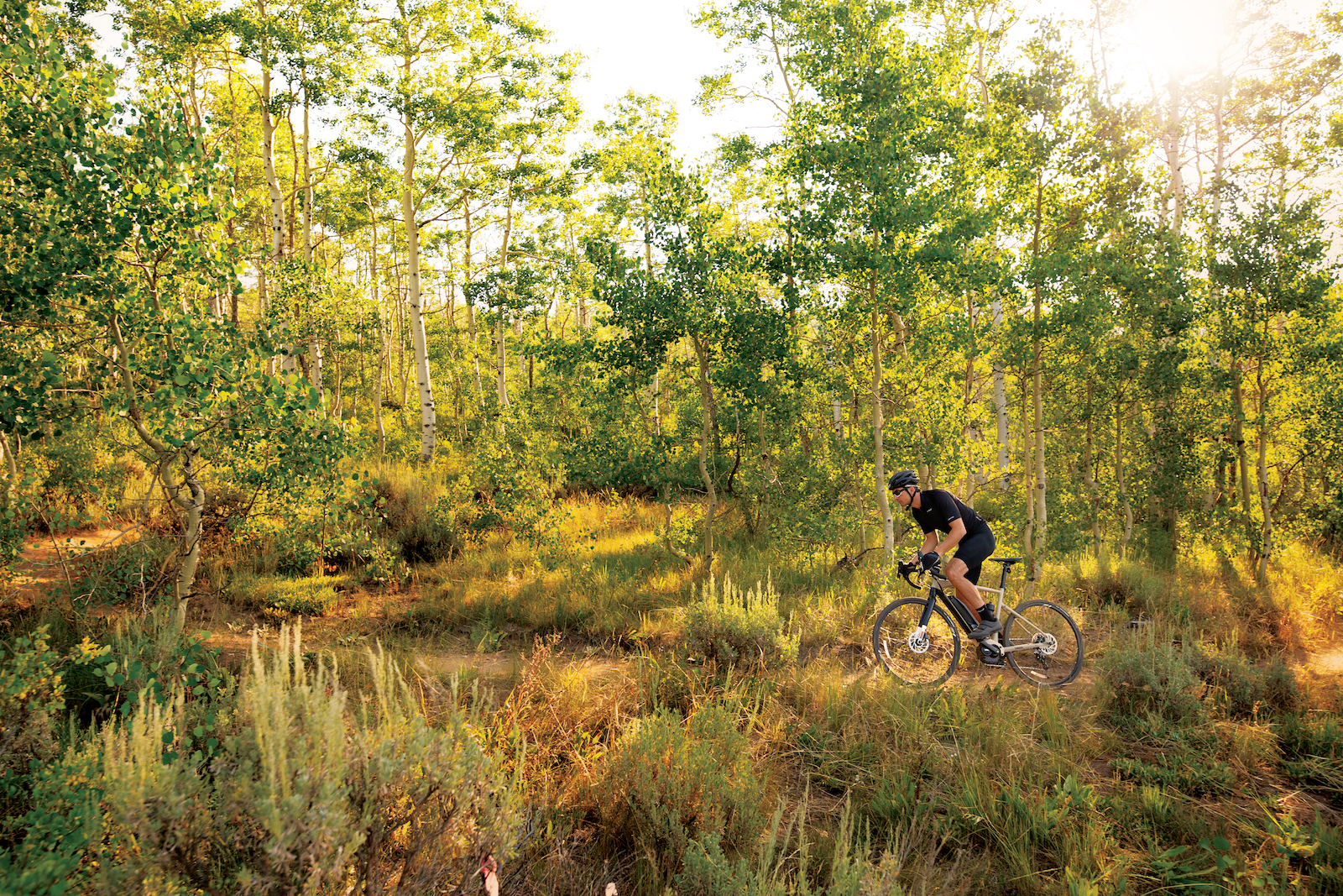 yamaha gravel bike