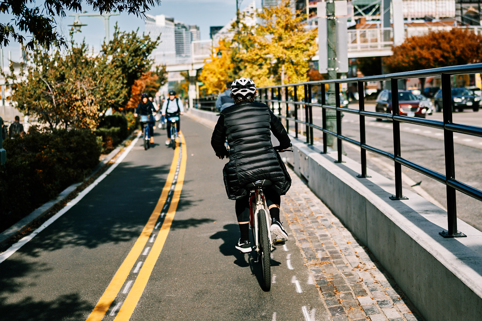 Bike Lane NYC